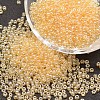 8/0 Glass Seed Beads SEED-J012-F8-102-1