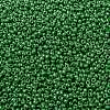MIYUKI Round Rocailles Beads SEED-G008-RR0431-3