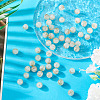 50Pcs Handmade Sand Lampwork Beads LAMP-TA0001-60A-5