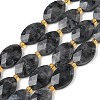Natural Larvikite Beads Strands G-A295-A03-01-2