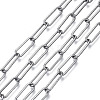 Unwelded Iron Paperclip Chains CH-S125-17A-01-1
