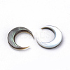 Black Lip Shell Cabochons X-SHEL-S267-04A-2