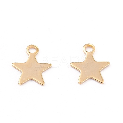 201 Stainless Steel Charms X-STAS-B001-14A-G-1