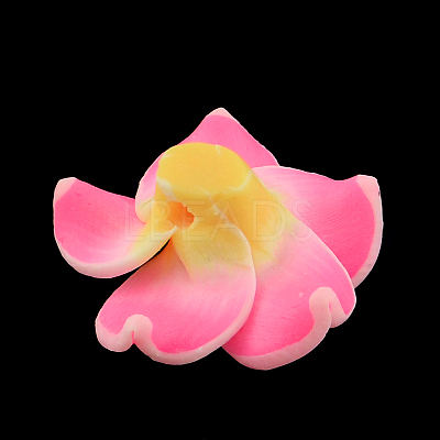 Handmade Polymer Clay 3D Flower Plumeria Beads CLAY-Q192-30mm-10-1