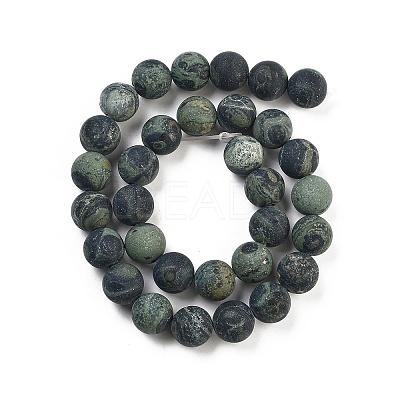 Natural Kambaba Jasper Beads Strands G-F520-53-12mm-1
