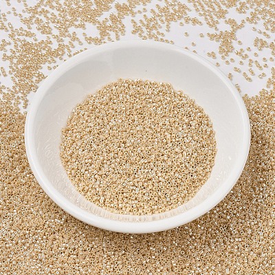 MIYUKI Delica Beads SEED-X0054-DB1561-1