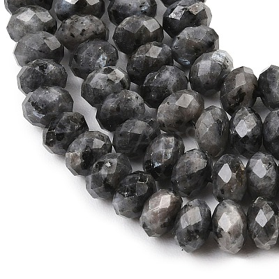 Natural Larvikite Beads Strands G-C259-A45-5x8mm-1