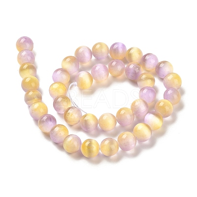 Natural Selenite Beads Strands G-P493-03E-1
