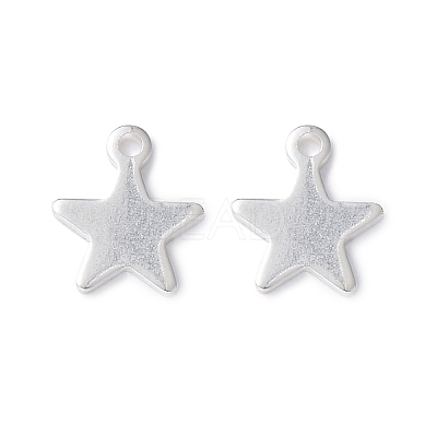 304 Stainless Steel Charms STAS-L234-069S-1