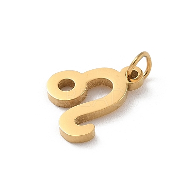 304 Stainless Steel Charms STAS-R001-04G-05-1