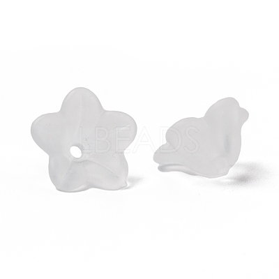 Transparent Acrylic Beads X-PL560-1-1