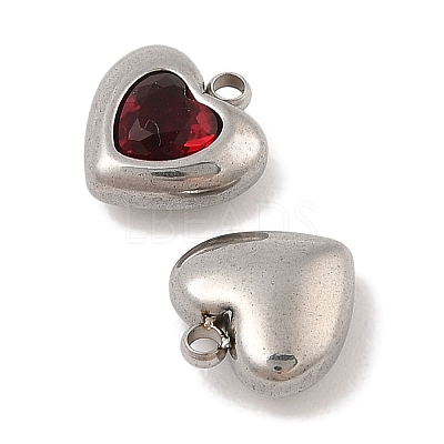 304 Stainless Steel Micro Pave Cubic Zirconia Charms STAS-S131-17P-03-1