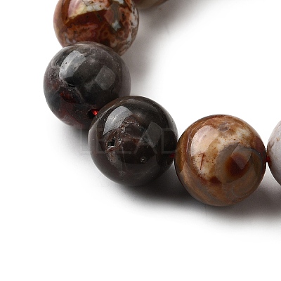 Natural Mexico Crazy Agate Beads Strands G-L615-A01-04-1