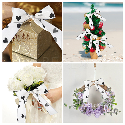 1Roll Printed Polyester Chiffon Ribbons OCOR-CY0002-35B-1