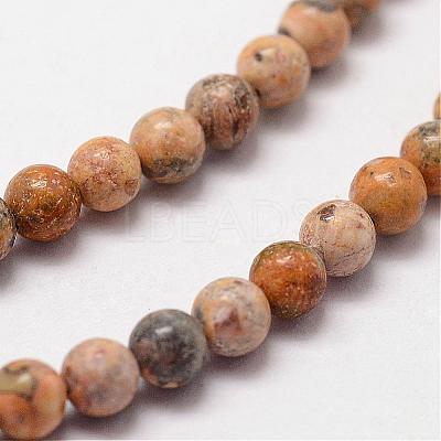 Natural Leopard Skin Jasper Beads Strands G-N0187-02-2mm-1