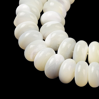 Natural Trochus Shell Beads Strands SHEL-P017-06-1