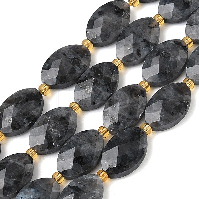 Natural Larvikite Beads Strands G-A295-A03-01-1