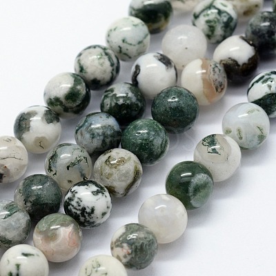Natural Tree Agate Beads Strands X-G-I199-03-8mm-1