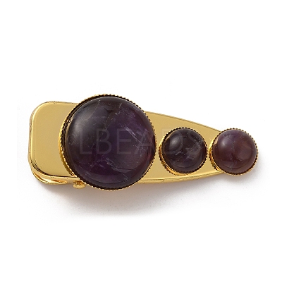 Natural Amethyst Alligator Hair Clips G-B042-03G-02-1