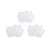 Acrylic Beads OACR-U001-05A-1