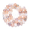 Natural Cultured Freshwater Pearl Beads Strands PEAR-T003-10D-3