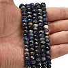 Natural Sodalite Beads Strands G-Z111-A20-2
