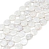 Electroplate Porcelain Imitation Pearl Beads Strands BSHE-Z009-02A-2