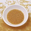 MIYUKI Delica Beads X-SEED-J020-DB0702-2