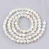 Natural White Moonstone Beads Strands G-T107-13-2