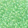 Transparent Glass Round Seed Beads X1-SEED-B001-05A-06-3