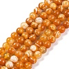 Natural Striped Agate/Banded Agate Beads Strands G-H037-A02-01-2