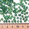 6/0 Round Glass Seed Beads SEED-US0003-4mm-167-3