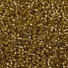 MIYUKI Delica Beads SEED-X0054-DB0909-3
