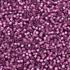 MIYUKI Delica Beads SEED-JP0008-DB2181-3