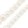 Round Shell Pearl Graduated Beads Strands BSHE-XCP0001-39-2