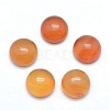 Natural Carnelian Cabochons G-P393-R41-10mm-1