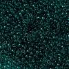MIYUKI Round Rocailles Beads X-SEED-G008-RR2405-3