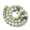 Natural Jade Beads Strands G-H298-A16-05-3