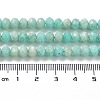 Natural Amazonite Beads Strands G-J400-C04-06-5