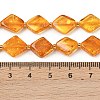 Natural Amber Beads Strands G-Z106-D01-02-3