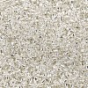 12/0 Glass Seed Beads X2-SEED-A005-2mm-21-2