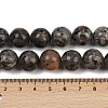 Natural Larvikite Beads Strands G-F792-C03-03-5