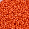 Baking Paint Glass Seed Beads SEED-K010-A10-2