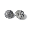 Natural Map Stone Cabochons G-Z075-06A-2