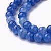 Crackle Glass Beads Strands GLAA-F098-05C-05-3