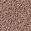 MIYUKI Delica Beads X-SEED-J020-DB1165-3