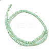 Dyed Natural Freshwater Shell Beads Strands X1-BSHE-G039-07E-2