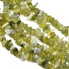 Natural Jade Chip Beads Strands G-B160-B02-4