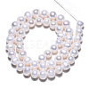 Natural Cultured Freshwater Pearl Beads Strands PEAR-N013-07J-4