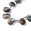 Natural Labradorite Beads Strands G-I246-09-A-3
